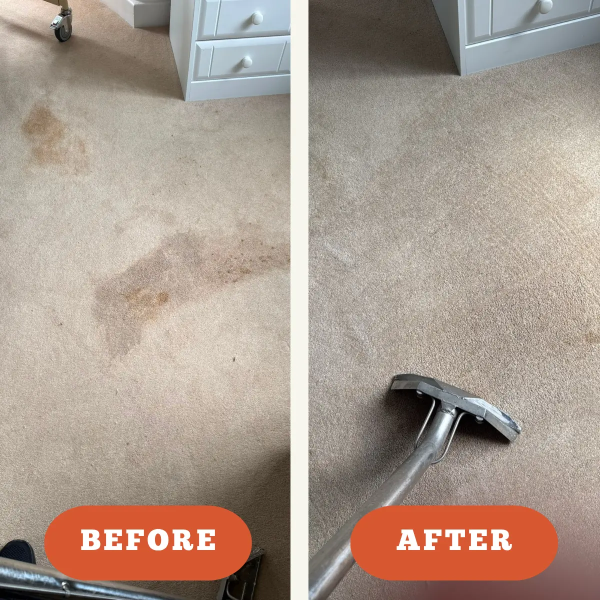 bedroom carpet cleaning before after
