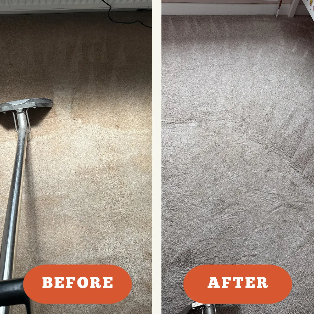 carpet cleaning room before after