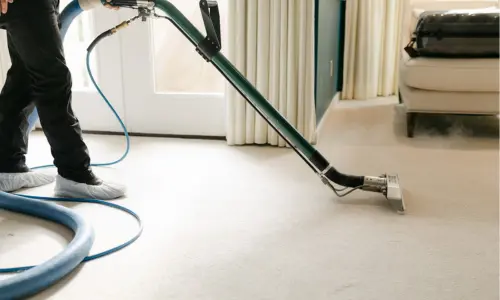 carpet cleaning